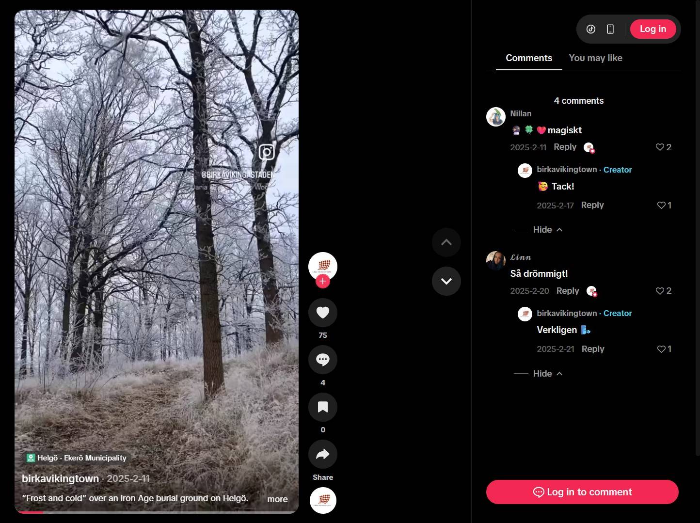 Birka TikTok testimonial