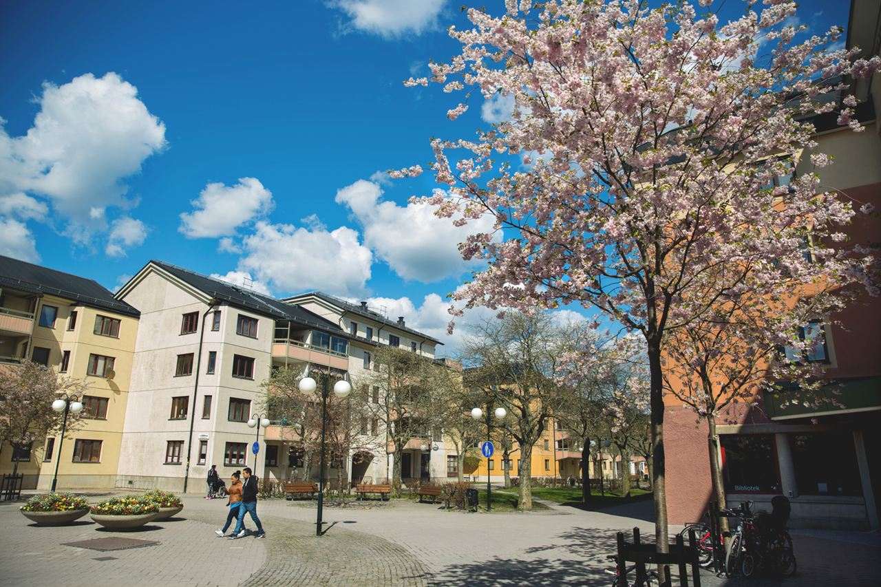 Cheapest SSSB Housing in Stockholm: Best Areas for Low Rent Student Rooms