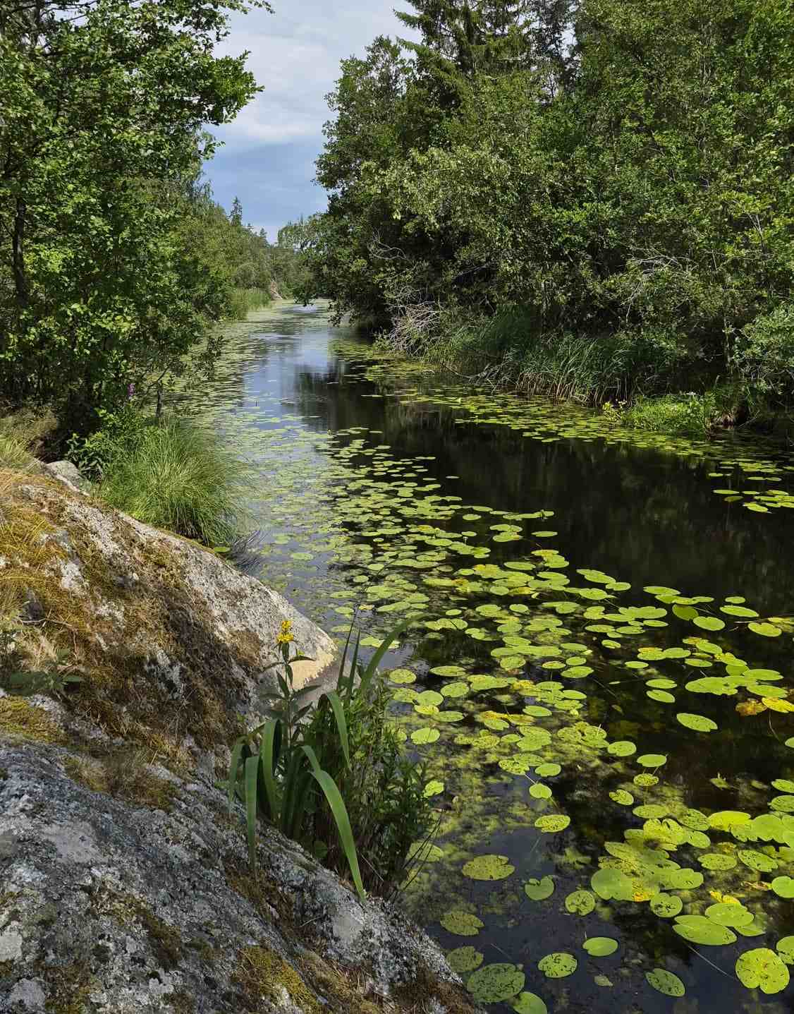 Nackareservatet Natural River