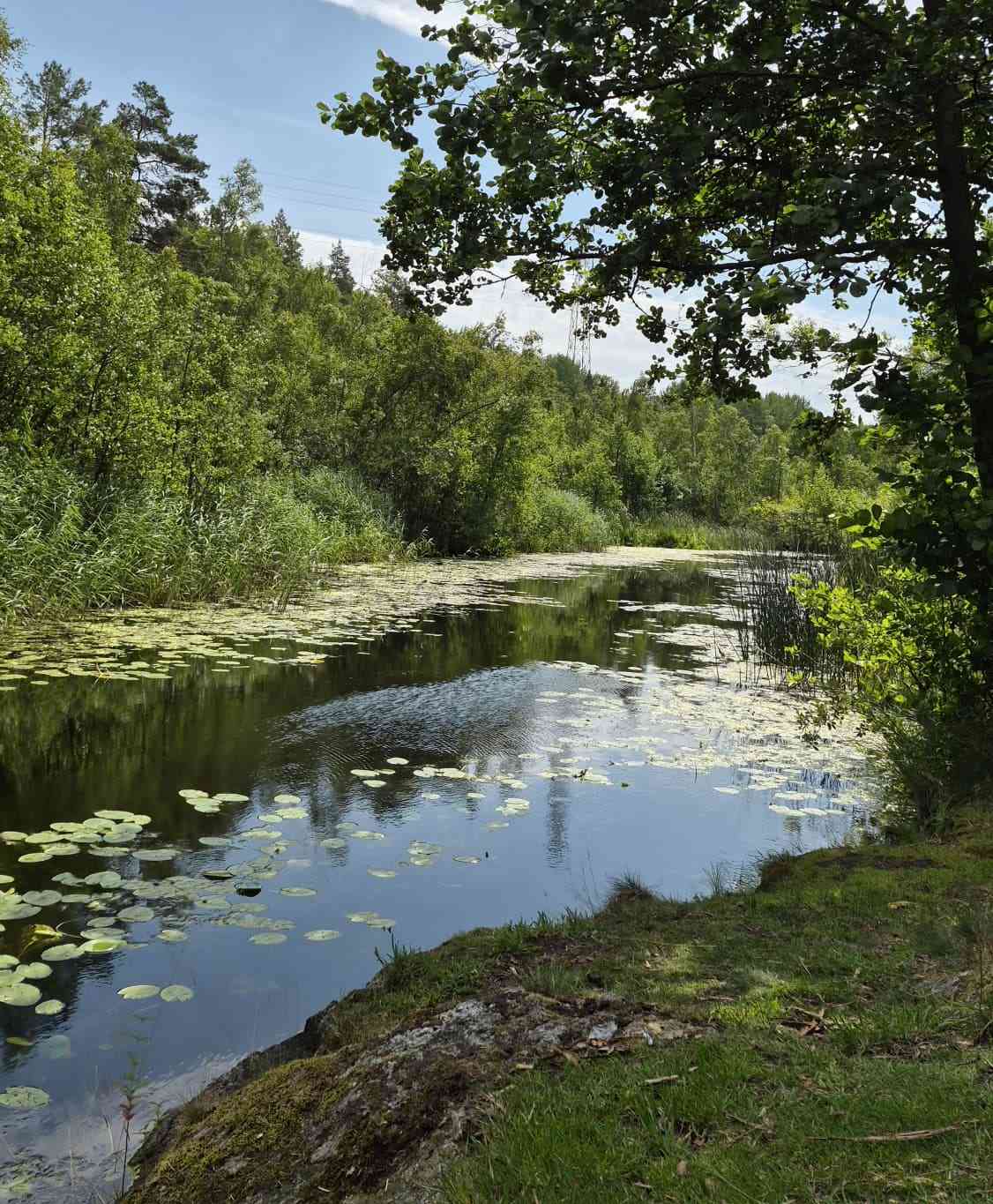Nackareservatet Stockholm