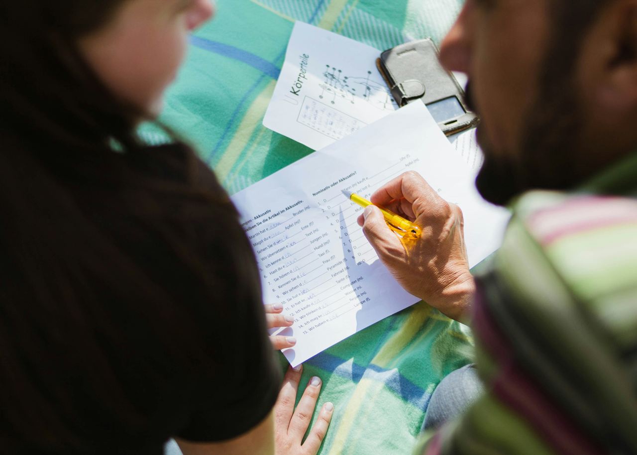 What Is SFI and How to Register for a Free Swedish Course