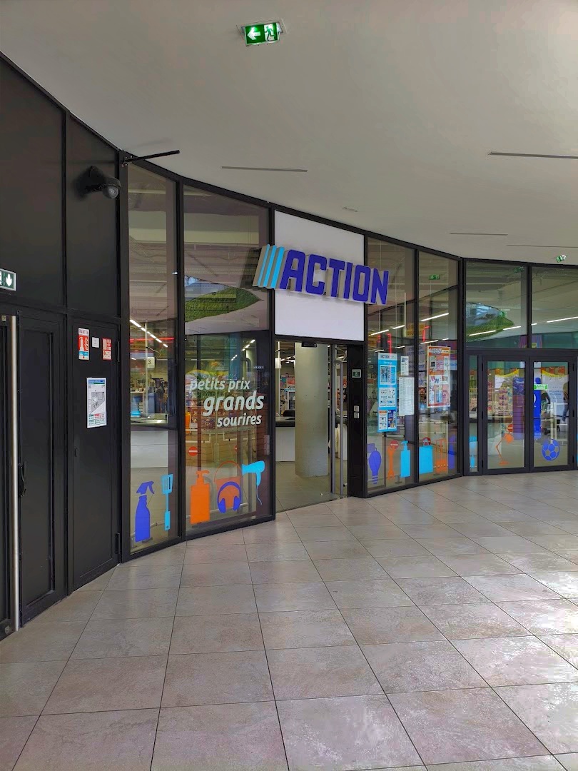 Action Lille Lillenium