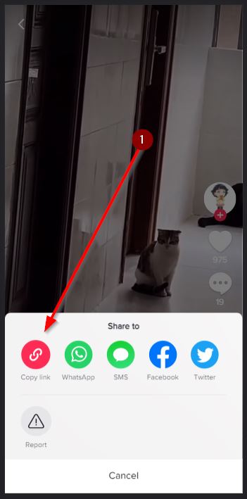 Menu copy link atau menyalin tautan video tiktok dari tombol bagikan di iphone