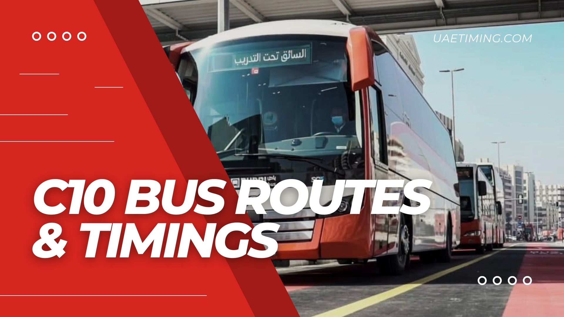 C10 Bus Timetable â€“ Hassa Bint Al Murr Masjid to Hamriya Port Travel Guide