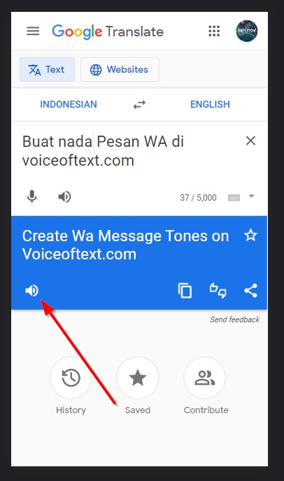 Download Suara Google Translate via Browser