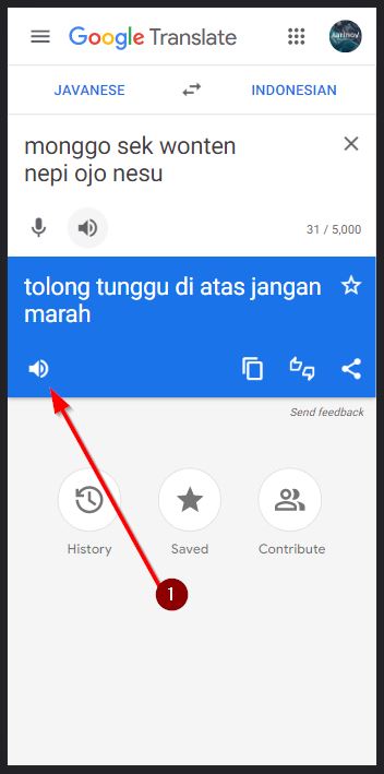 Sound of Text Bahasa Jawa